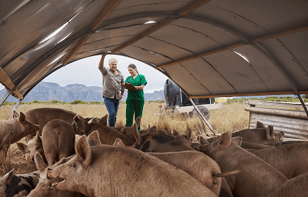 Video for Hiawatha Farm Tour