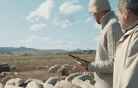 Video for Rosewood Farm Tour